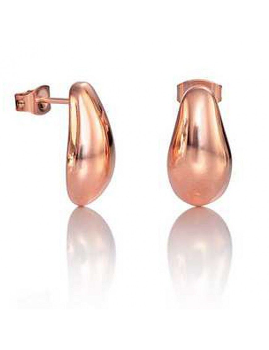 Pendientes Viceroy acero Mujer 50004E19019