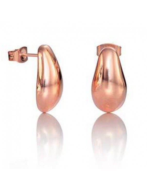 Pendientes Viceroy acero Mujer 50004E19019