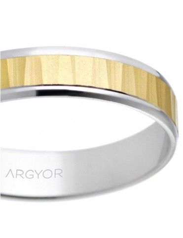 Alianza Oro bicolor 18K 18-5241503