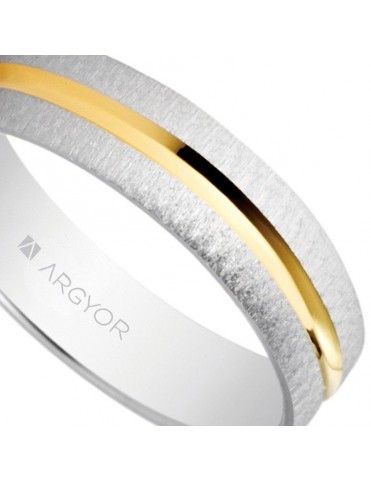 Alianza Oro bicolor 18K 18-5240474