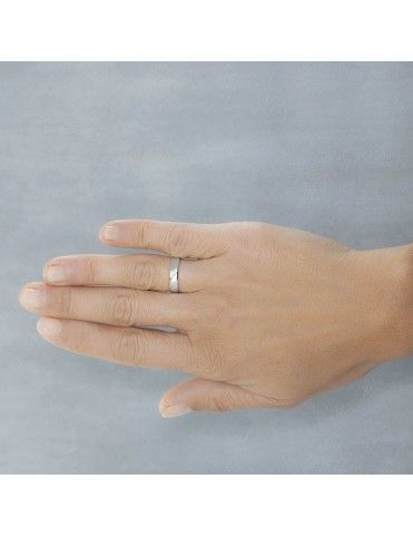 Alianza Plata de Ley 5740308