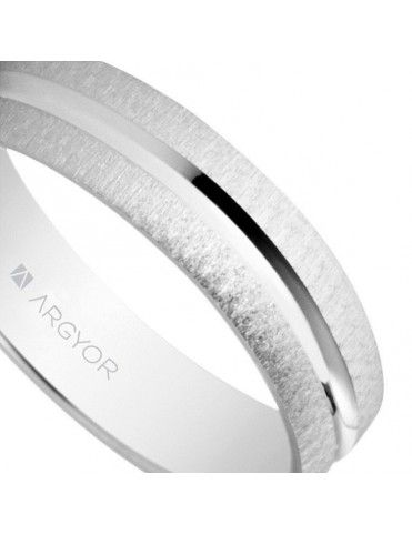 Alianza Plata de Ley 5740474