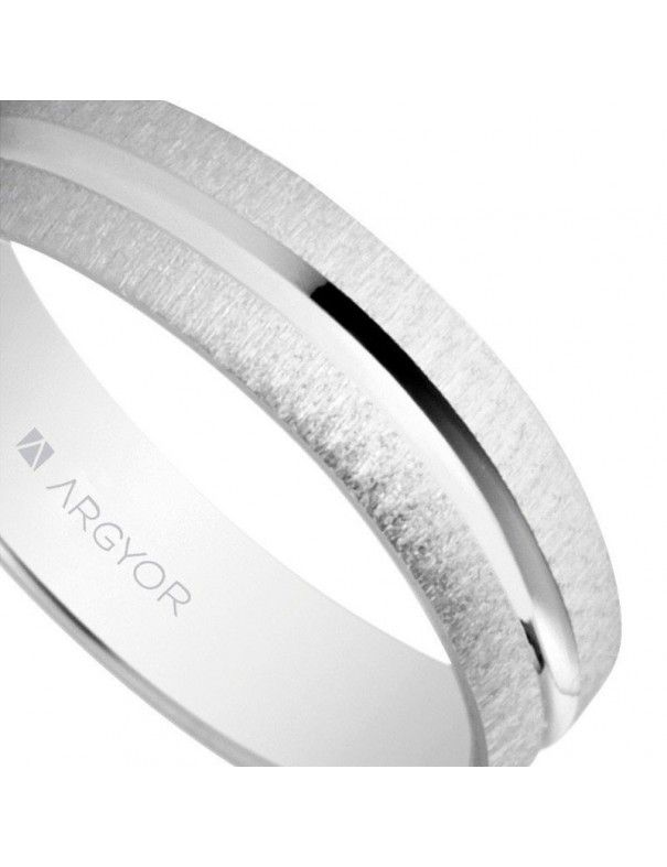 Alianza Plata de Ley 5740474