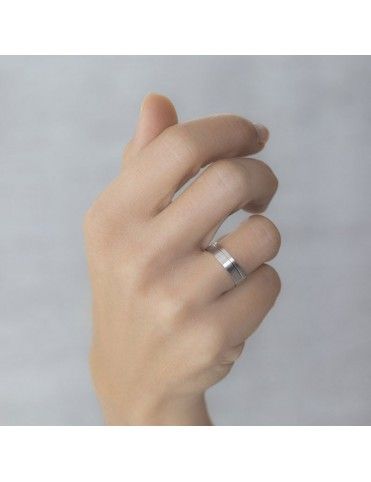 Alianza Plata de Ley 5750316