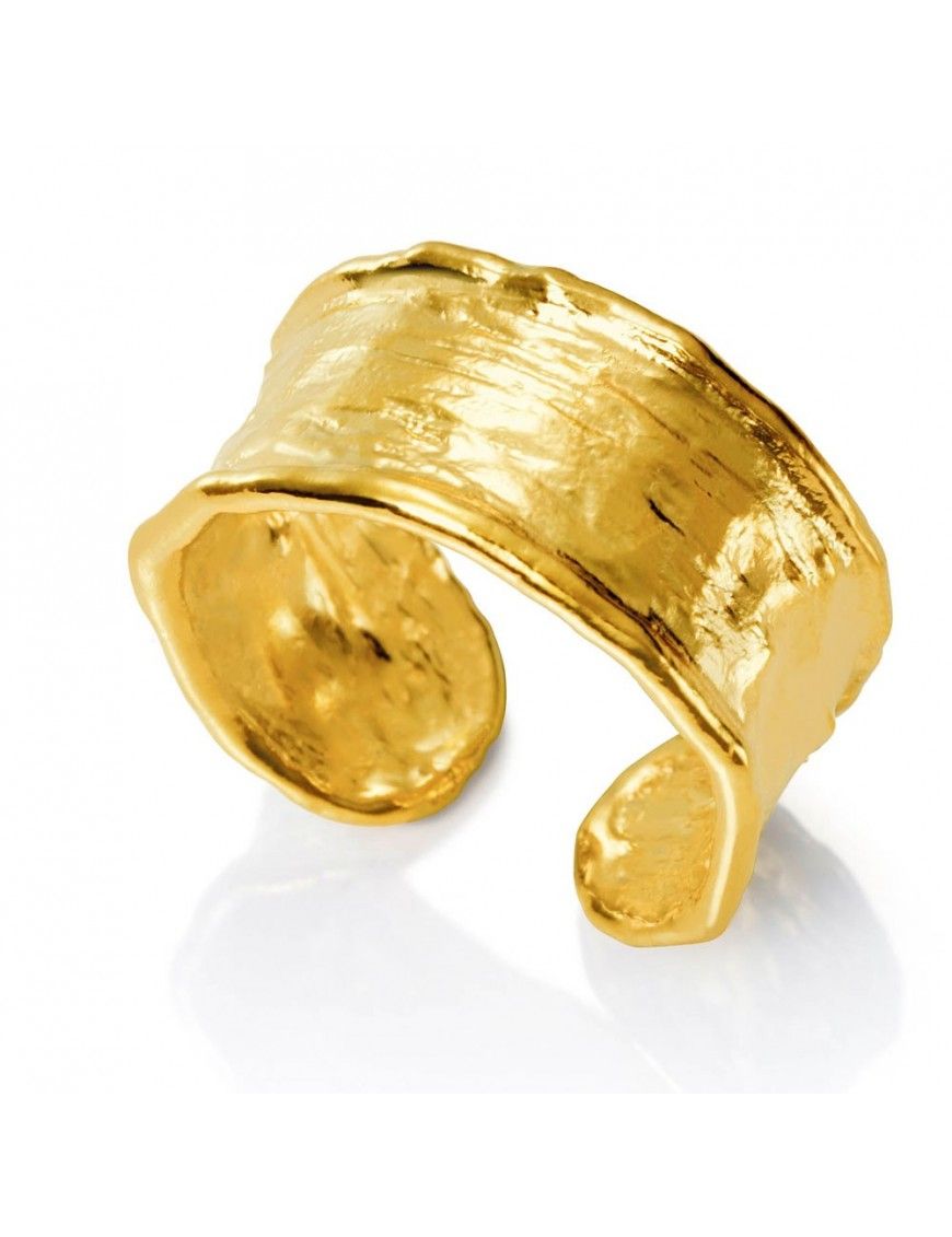 Anillo Viceroy plata Mujer 1310A012-06