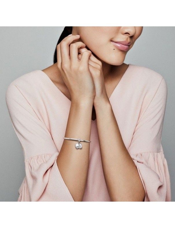 Charm Pandora Plata Colgante Semillas Brillantes 797581CZ