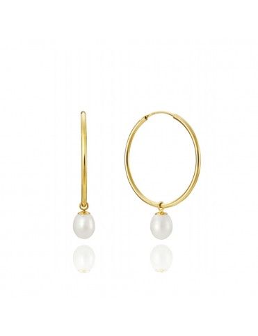 Pendientes Viceroy Plata Mujer 1603E000-66