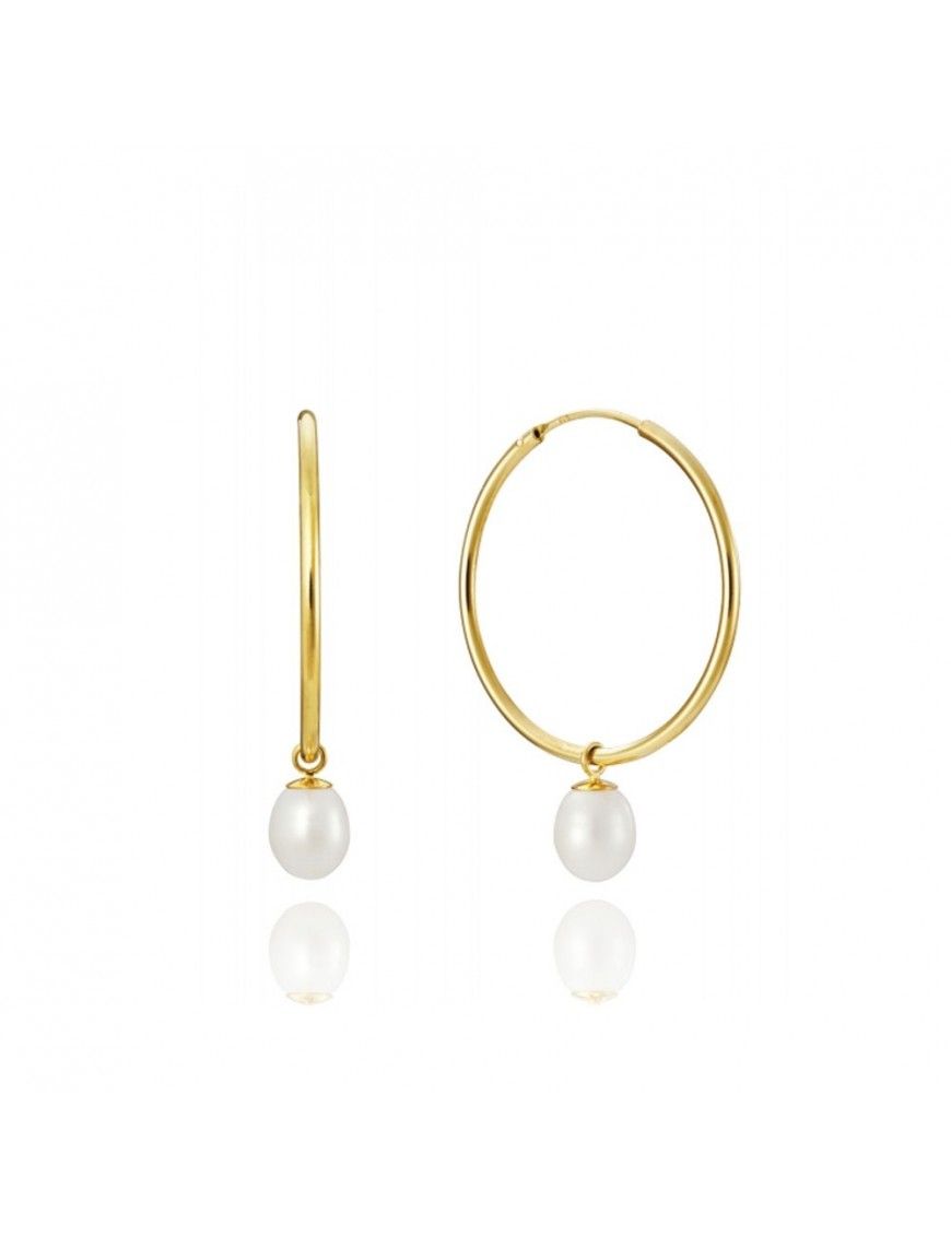 Pendientes Viceroy Plata Mujer 1603E000-66