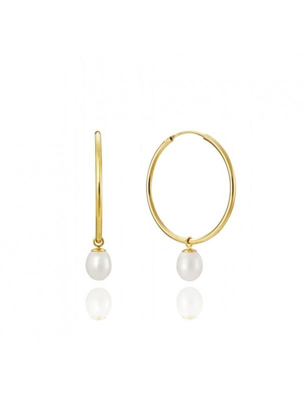 Pendientes Viceroy Plata Mujer 1603E000-66