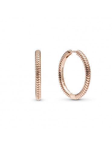 Pendientes Pandora Moments...