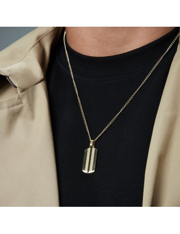 Collar Viceroy Hombre Acero Dorado Placa 14343C01012