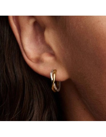Pendientes Pandora de Aro Abiertos en Dos Tonos de Forma Orgánica 263880C00