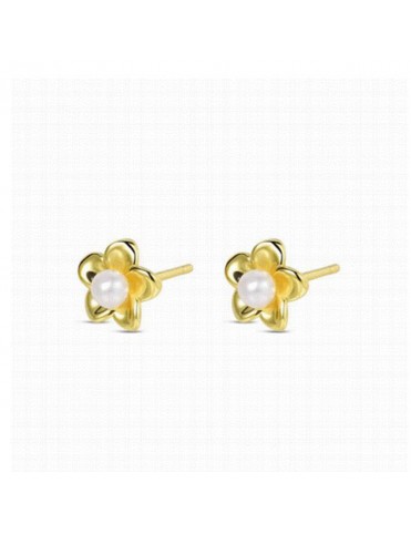 Pendientes Plata Chapada...