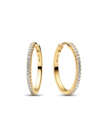 Pendientes Pandora Timeless...
