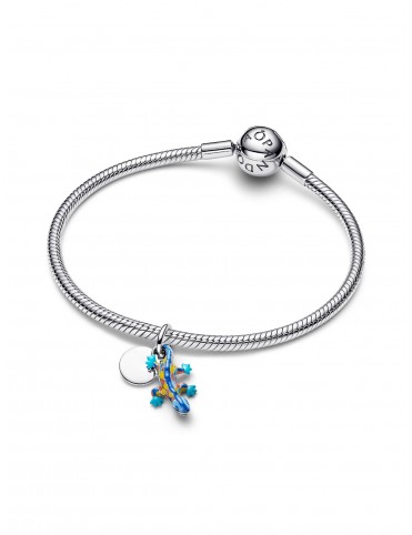Charm Pandora Moments...