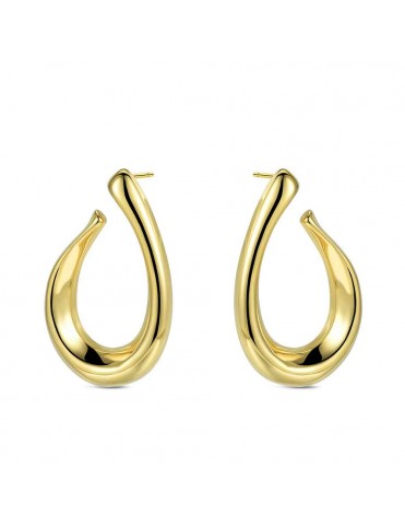 Pendientes Gota Irregular...
