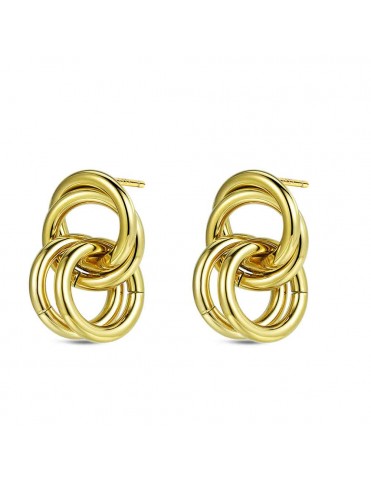 Pendientes Aros Dobles...