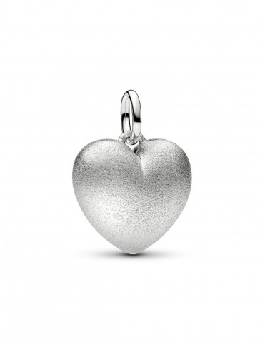 Charm Pandora Moments...