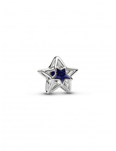 Charm Pandora Moments...