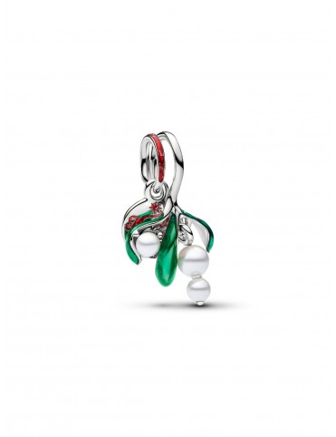 Charm Pandora Moments...