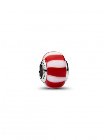 Charm Pandora Moments...