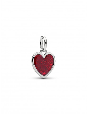 Charm Pandora Moments...