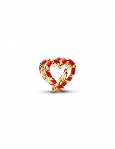 Charm Pandora Moments...