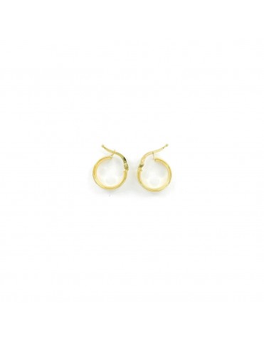 Pendientes de Aro de Oro Amarillo 18K 4 x 10 mm 12490317P