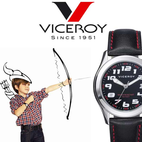 Banner-Viceroy-Kids-C