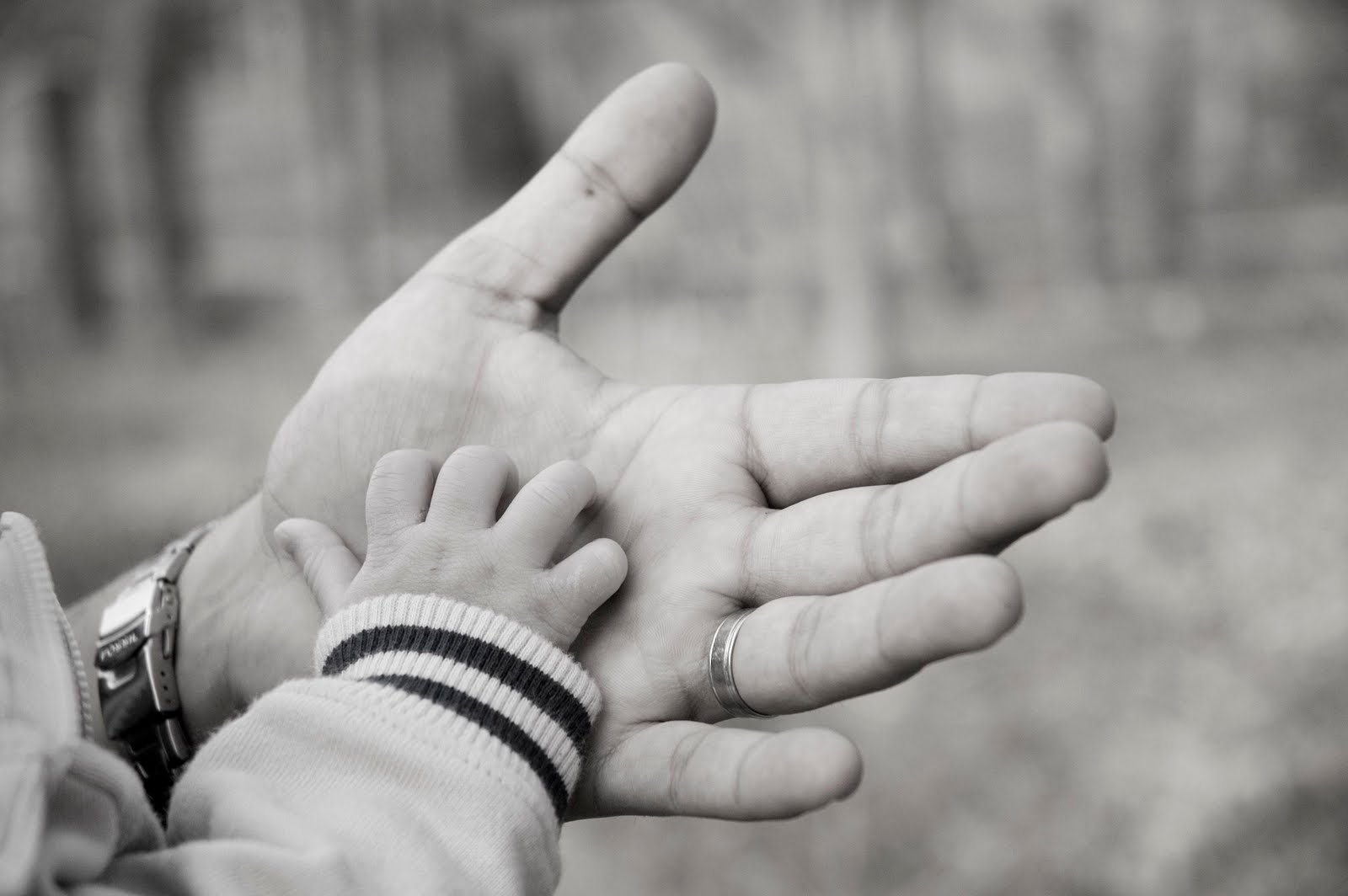 feliz-día-del-padre